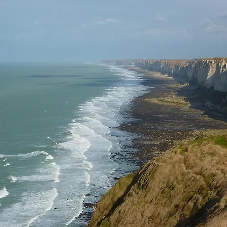 Les Glycines Daire *